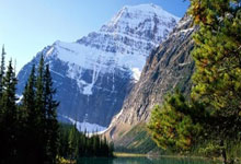 德利赫特腹股溝受傷退出訓練.